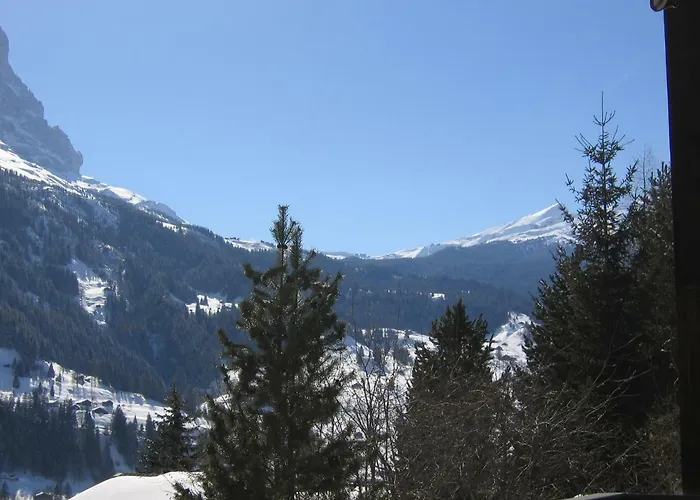 Casa Almis, Grindelwald